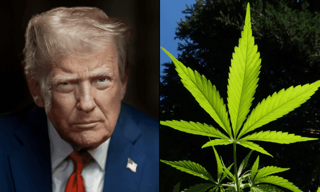 Former Trump Cabinet Official Claims Marijuana Rescheduling Would ‘Worsen The Crisis’ Of Crime