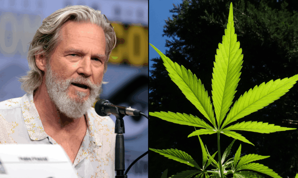 Jeff Bridges Was High On Marijuana When Filming Oscar-Nominated Performance As President Of The US, Movie Director Says