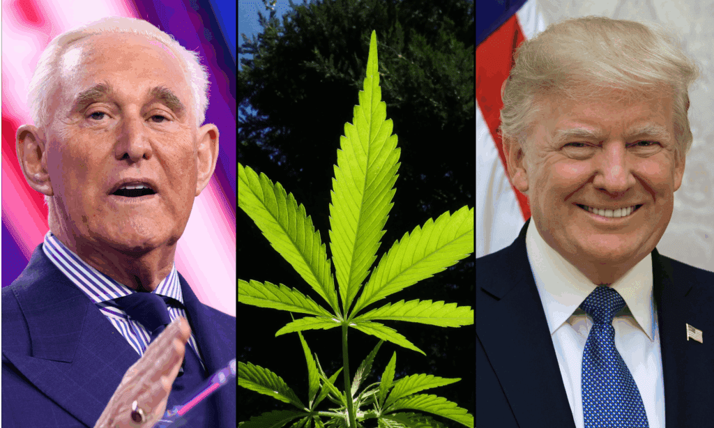 Trump Can Outdo Democrats By Rescheduling Marijuana When They Failed To Do So, Roger Stone Says