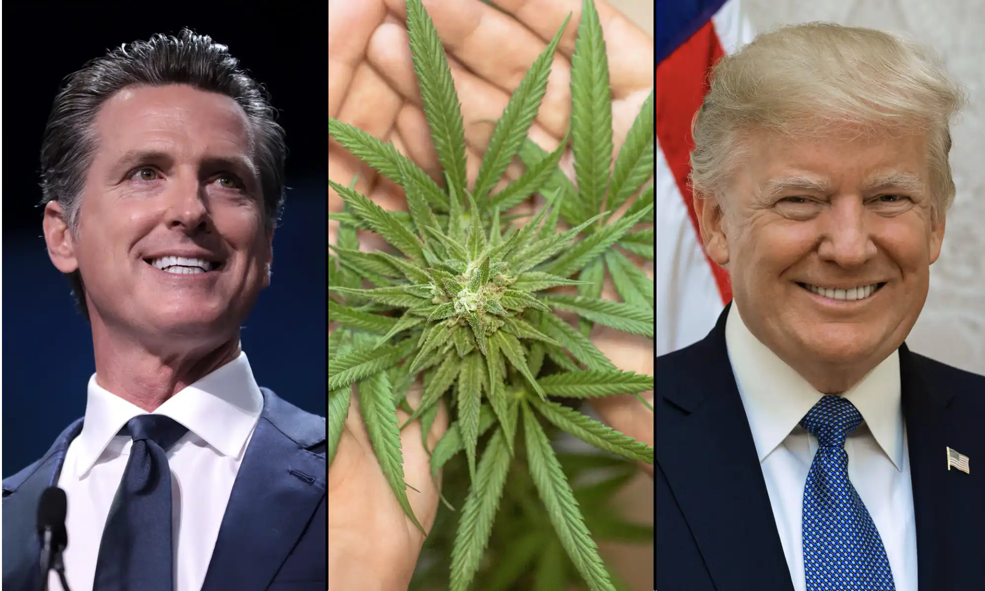 Newsom Declares That ‘Cannabis Is Now Legal’ After Trump Mistakenly Calls Him ‘President Of The United States’