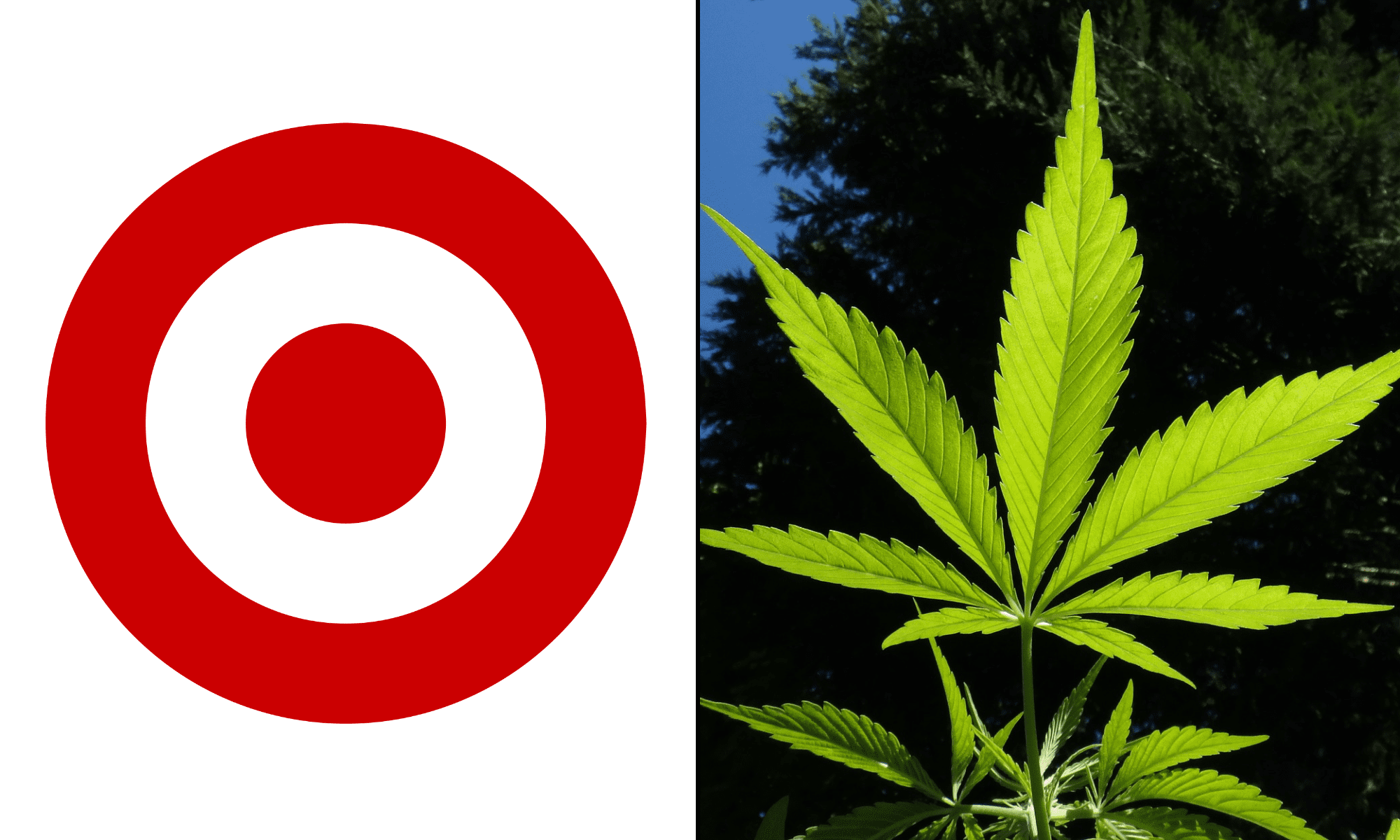 Target To Begin Selling THC-Infused Cannabis Drinks As Congress Debates Possible Hemp Law Reversal, Companies Say