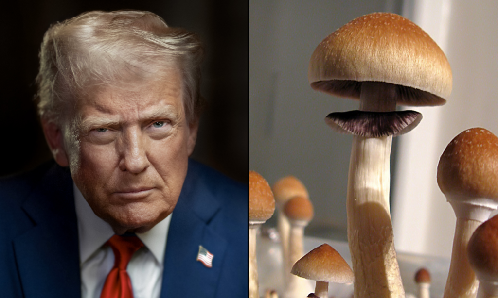 Trump Signs Order To Accelerate Legal Access To Psychedelics For Patients With Mental Health Conditions