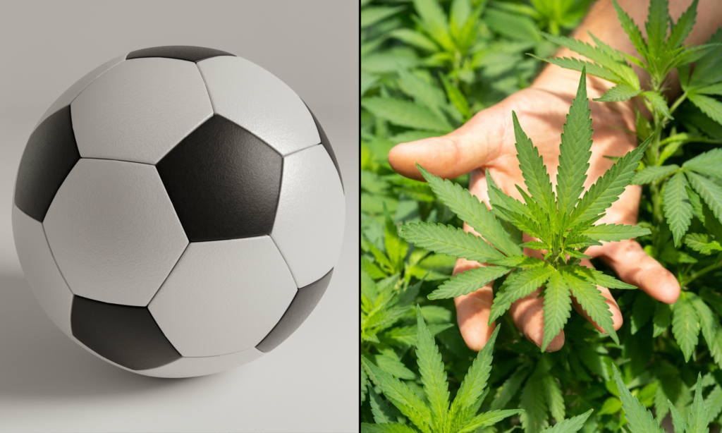 State Marijuana Officials Educate World Cup Fans About How To Celebrate Legally And Responsibly While Visiting