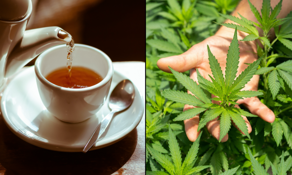 Drinking Marijuana-Infused Tea Boosts Happiness And Sleep Quality, Study Shows