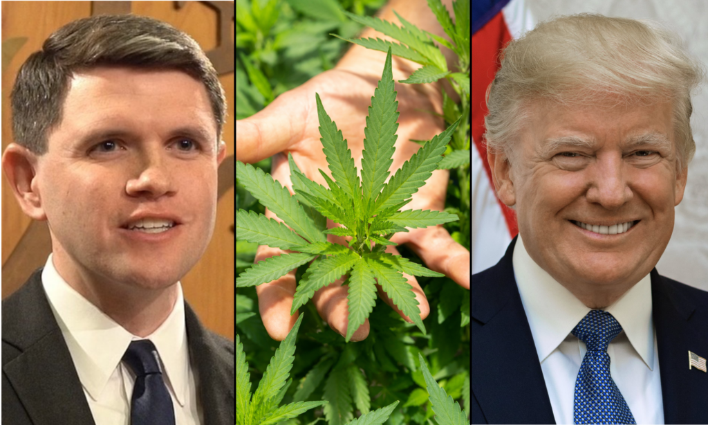 Talarico Wants To Partner With Trump On Legalizing Marijuana If He Wins Texas Senate Race
