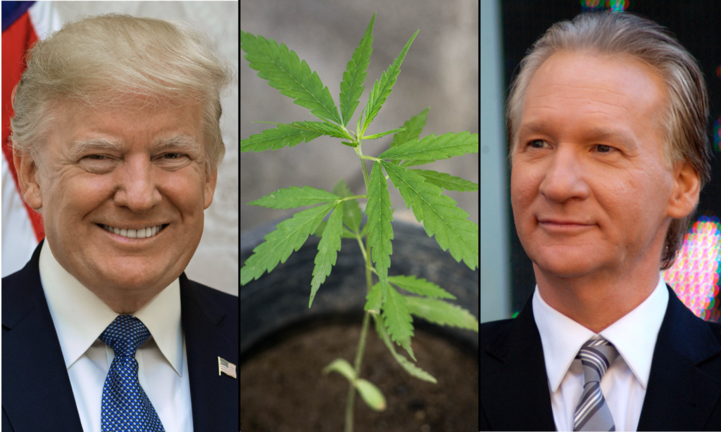 Trump Says Marijuana Is ‘Very Bad’ For Bill Maher’s Health, Criticizing Him For Being A ‘Major Pothead’